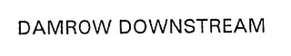 DAMROW DOWNSTREAM