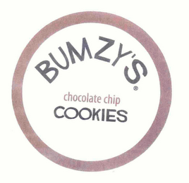 BUMZY'S CHOCOLATE CHIP COOKIES