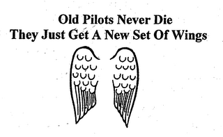 OLD PILOTS NEVER DIE THEY JUST GET A NEW SET OF WINGS