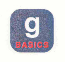 G BASICS