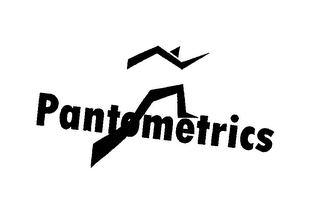 PANTOMETRICS