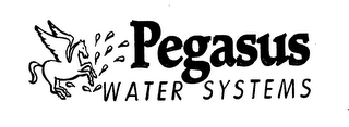 PEGASUS WATER SYSTEMS