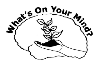 WHAT'S ON YOUR MIND?