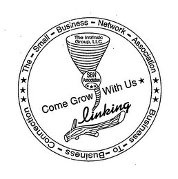 THE-SMALL-BUSINESS-NETWORK-ASSOCIATION BUSINESS-TO-BUSINESS-CONNECTION THE INTRINSIC GROUP, LLC SBN ASSOCIATION COME GROW WITH US LINKING