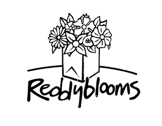 REDDYBLOOMS