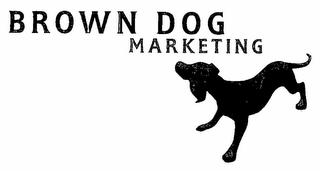 BROWN DOG MARKETING