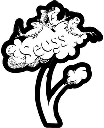 SEUSS