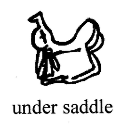 UNDER SADDLE