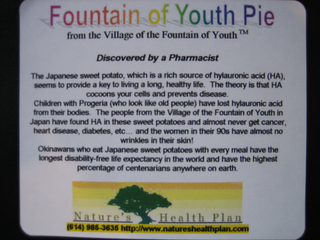 FOUNTAIN OF YOUTH PIE FROM THE VILLAGE OF THE FOUNTAIN OF YOUTH