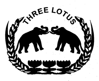 THREE LOTUS