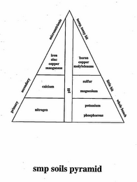 PRIMARY SECONDARY MICRONUTRIENTS TEENY, TEENY BIT LITTLE BIT WHOLE BUNCH IRON ZINC COPPER MANGANESE CALCIUM NITROGEN BORON COPPER MOLYBDENUM SULFUR MAGNESIUM POTASSIUM PHOSPHOROUS PH SMP SOILS PYRAMID