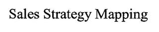 SALES STRATEGY MAPPING