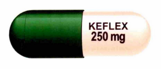 KEFLEX 250 MG