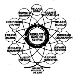 REGULATES IMMUNE SYSTEM RELAXES BODY RELEASES ENDORPHINS RELAXES MUSCLES INCREASES CIRCULATION ELEVATES OXYGEN ABSORBS NUTRIENTS BUILDS ENZYMES REGULATES HORMONES RELEASES TOXINS HEALTHYCELL GROWTH PROMOTES HEALING INFLUENCES EVERY CELL OF THE BODY