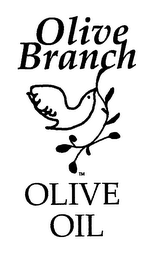 OLIVE BRANCH OLIVE OIL