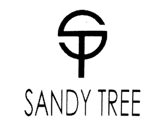 SANDY TREE