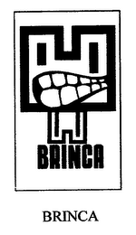 BRINCA BRINCA