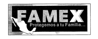 FAMEX PROTEGEMOS A TU FAMILIA...