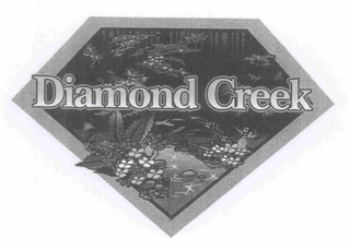 DIAMOND CREEK