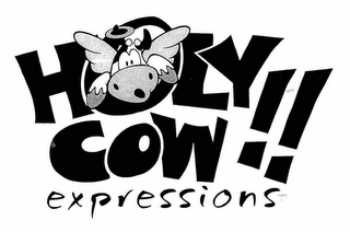 HOLY COW!! EXPRESSIONS