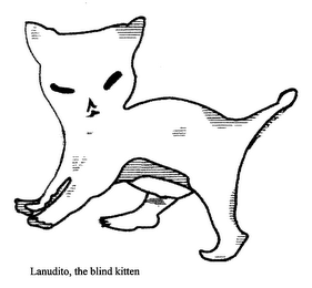 LANUDITO, THE BLIND KITTEN