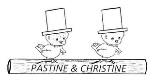 PASTINE & CHRISTINE THE LITTLE TWIN BIRDS