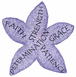 FAITH STRENGTH DETERMINATION GRACE PATIENCE