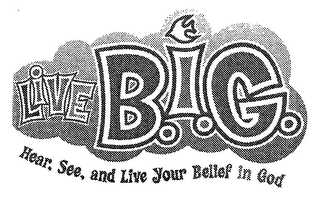 LIVE B.I.G. HEAR, SEE, AND LIVE YOUR BELIEF IN GOD