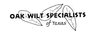 OAK WILT SPECIALISTS OF TEXAS