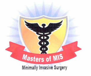 MASTERS OF MIS MINIMALLY INVASIVE SURGERY