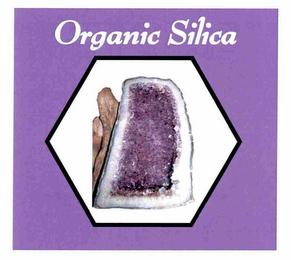 ORGANIC SILICA