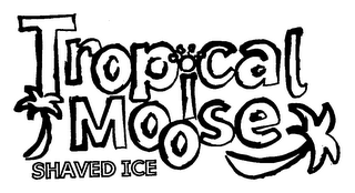 TROPICAL MOOSE SHAVED ICE