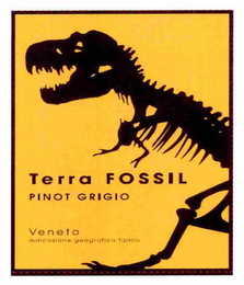 TERRA FOSSIL PINOT GRIGIO VENETO INDICAZIONE GEOGRAFICA TIPICA