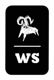 WS