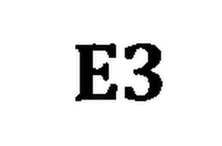 E3