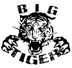 BIG TIGER