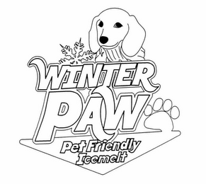 WINTER PAW PET FRIENDLY ICE MELT