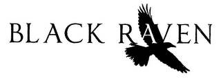 BLACK RAVEN