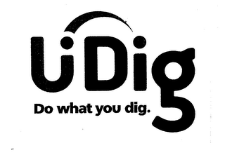 U DIG DO WHAT YOU DIG.