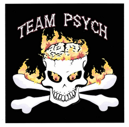 TEAM PSYCH