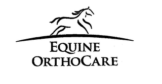 EQUINE ORTHOCARE