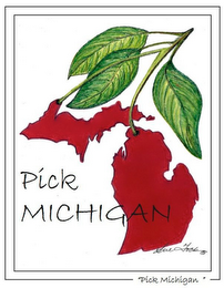 PICK MICHIGAN "PICK MICHIGAN" SUE TOCK
