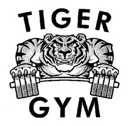 TIGER GYM