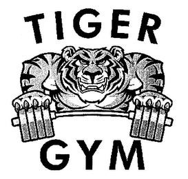 TIGER GYM