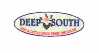 DEEP SOUTH ADD A LITTLE SPICE FROM THE SOUTH