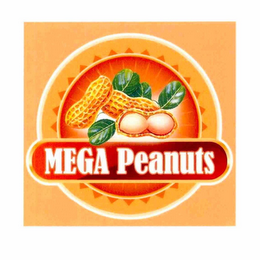 MEGA PEANUTS