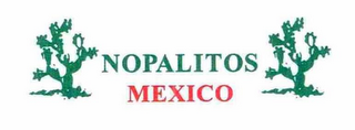 NOPALITOS MEXICO