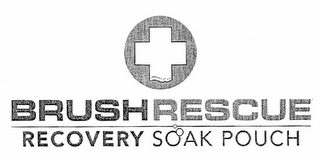 BRUSH RESCUE RECOVERY SOAK POUCH