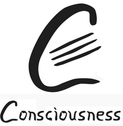 C CONSCIOUSNESS