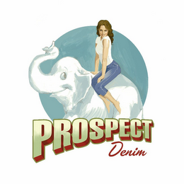 PROSPECT DENIM